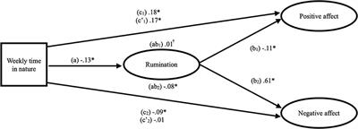 Affective Benefits of Nature Contact: The Role of Rumination